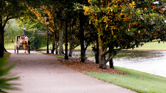 Passeios de carruagem 